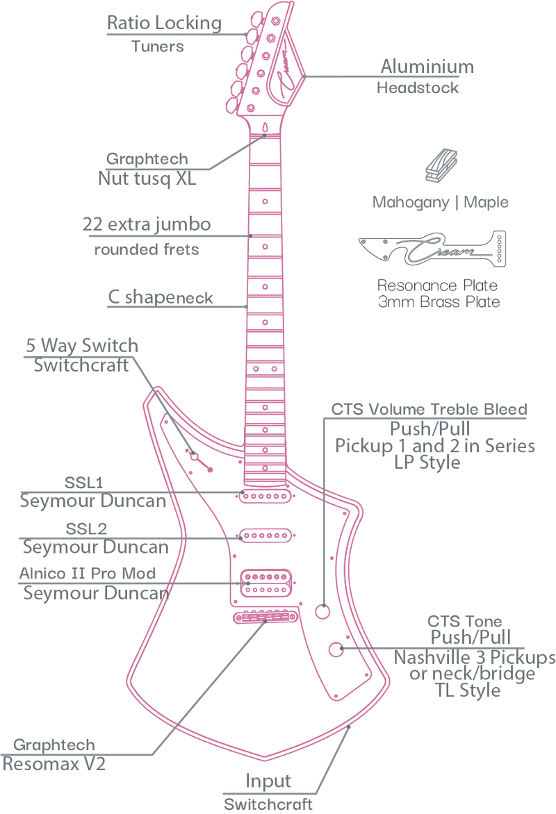 Cream Revolver Standard - Natural Flowers Guitar with Gig Bag