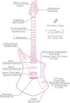 Cream Revolver Standard - Natural Flowers Guitar with Gig Bag