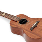 Snail BHC-8C Solid Acacia Top, laminate back & Side Concert Ukulele