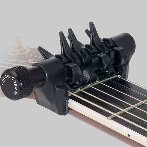 D'Andrea Spider Capo - Standard