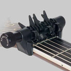 D'Andrea Spider Capo - Standard